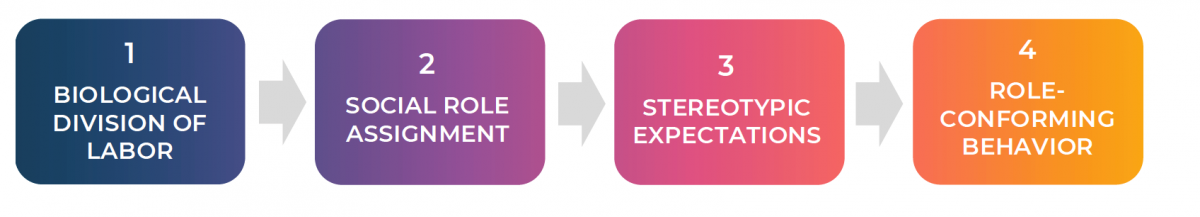 Fig. 2: Process from biological division of labor to role-conforming behavior. Adapted from [8]