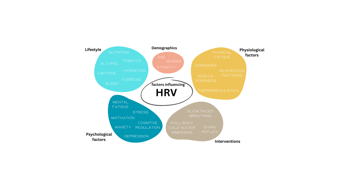 Image 3: Factors influencing HRV