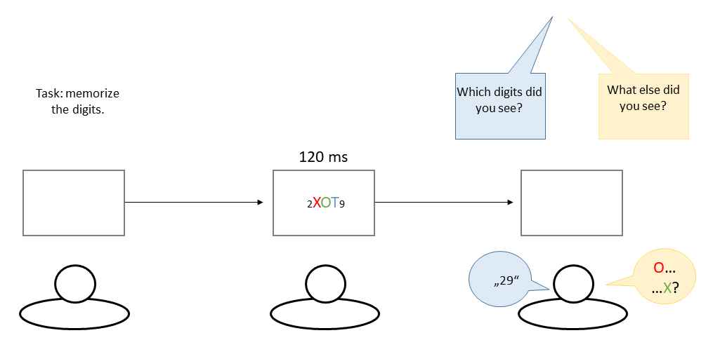 Experimental setup