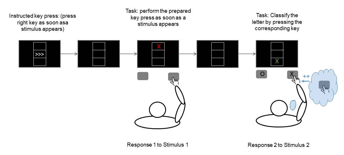 Experimental setup