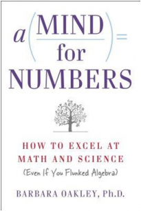 A Mind For Numbers