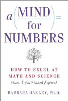 A Mind For Numbers