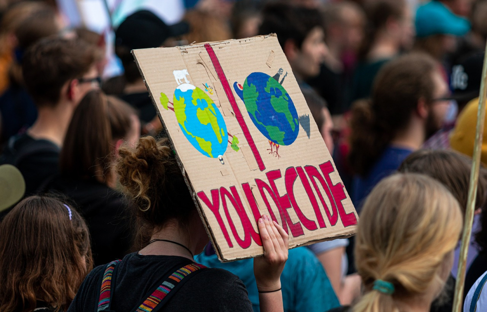 “White and Educated?” Toward a (More) Diverse Climate Movement