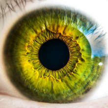 Eye - image from pexels.com CC0